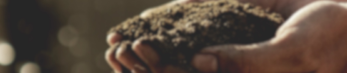 hands in soil banner